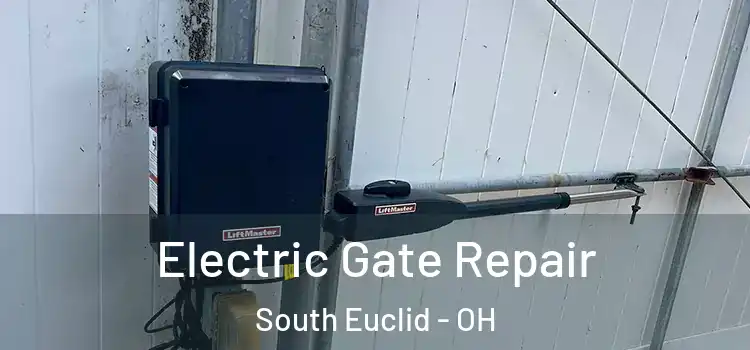 Electric Gate Repair South Euclid - OH