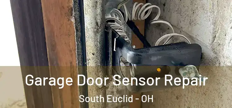 Garage Door Sensor Repair South Euclid - OH