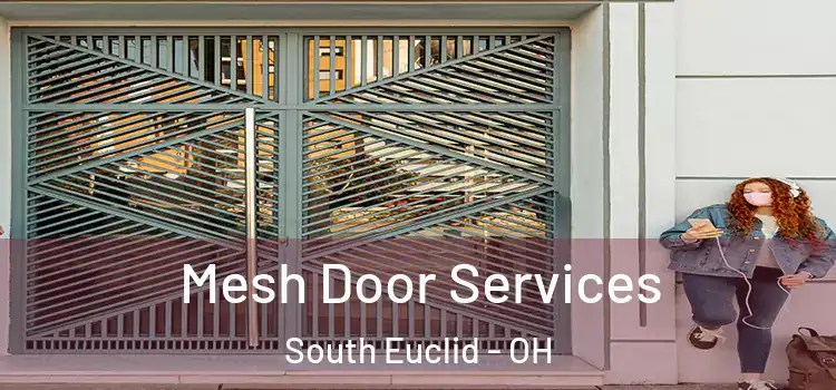 Mesh Door Services South Euclid - OH
